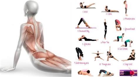 We did not find results for: 8 Yoga Poses To Strengthen Your Lower Back & Abs In 10 ...