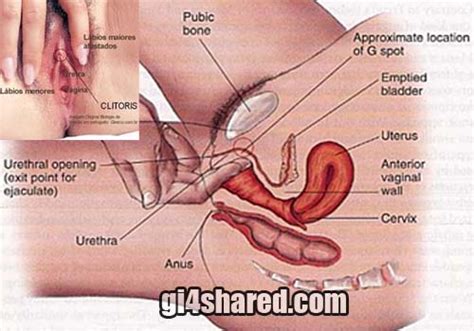 High climax female stimulating cream. Lifestyle Info: Clitoris Stimulating Techniques