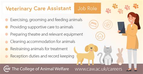 Home » resources » job description templates » veterinary assistant job description sample template. Veterinary Care Assistant | CAW Careers Advice