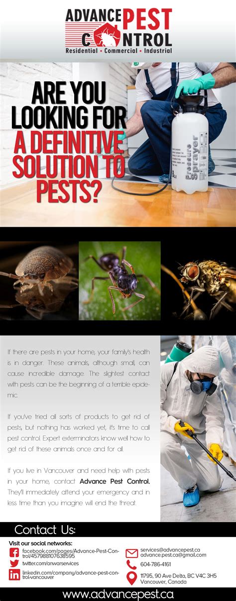 Get a good hunting breed. Advance Pest Control - Best in Pest Control Services ...