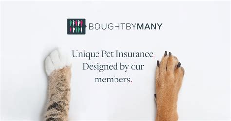 If you own multiple pets, we salute you! Unique Pet Insurance Policies Designed For Your Cats & Dogs. Don't Miss Out! We Insure Pets Of ...