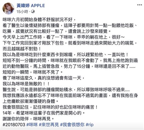 Include (or exclude) self posts. Apple抱起愛貓「牠卻全身癱軟」 急送醫搶救15分仍說了再見⋯ | ETtoday星光雲 | ETtoday新聞雲