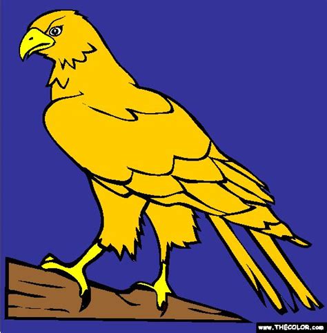 It can see prey at a distance of several kilometers. Perched Hawk Coloring Page | Free Perched Hawk Online ...