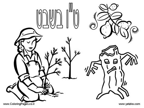 Showing 12 coloring pages related to shabbat. Shabbos Coloring Pages at GetColorings.com | Free ...