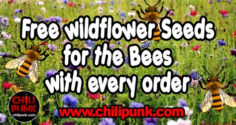 1000s of seeds from 18 native wildflower species, mixed with local, protective clay and sifted, nurturing top soil. FREE wildflower seeds with every order - Chili Punk Berlin ...