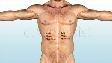 — to put a hand or other part of the body on or against something; What Can Cause Upper Abdominal Pain?