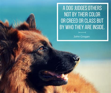 Share some of these picture quotes on instagram or pinterest with other dog lovers. "A dog judges others not by their color or creed or class ...