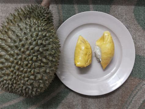 Sebagian ibu hamil ada yang ngidam ingin makan buah durian, lantas apakah ibu hamil itu boleh makan durian? Premium Beautiful by olinsafura: MAKAN DURIAN - 3 KESAN ...
