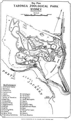 Behind the scenes tour at wild life sydney. Key plan for Taronga Park Zoo in Sydney in 1916 ...