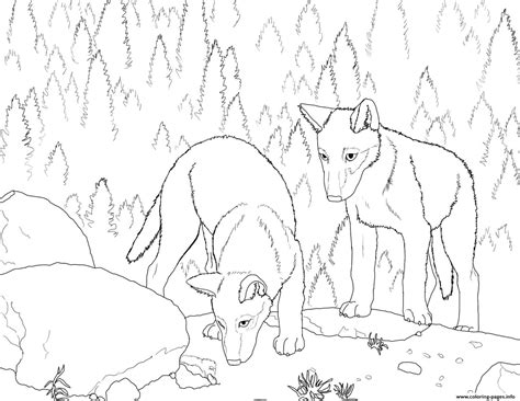 Wolf coloring pages available on this webpage, helps the children to connect with the animal in a fun and educative manner. Realistic Wolf Coloring Pages To Print - Coloring Home