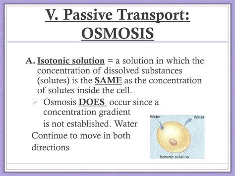 Water inside the cell (highest concentration) moves out of the cell (lowest. PPT - Cellular Transport PowerPoint Presentation, free ...