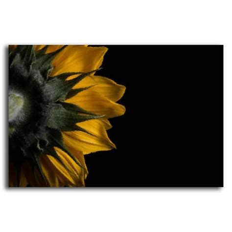 Mimic paint strokes or paint splatter with imported brush strokes from adobe photoshop, perfect for that diy or handmade look. Brush Strokes Backside of Sunflower - Adhesive Wallpaper ...