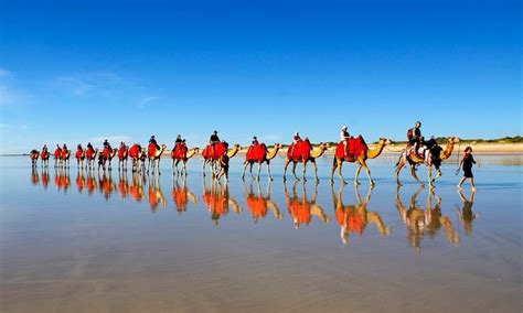 Yoga to go and sole yoga holidays yoga vacation in essaouira! Broome Cable Beach Pre Sunset Camel Ride - Book Now ...