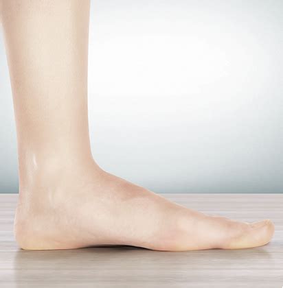 Two longitudinal (medial and lateral) arches and one anterior transverse arch. Arch Types - Foot.com