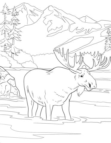 Free coloring pages printable to color kids drawing ideas. Denali National Park coloring page | Free Printable ...