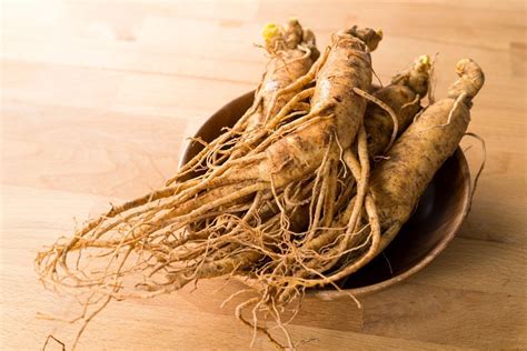 Ide nama cafe, restoran, rumah makan, warung mie ayam bakso, kedai kopi yang bagus menurut islam, keren, unik, lucu, kekinian, nyeleneh & menarik. Cara Racik Obat Kuat Dari Gingseng / Terjual Vitamale Obat ...