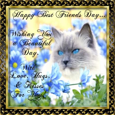 Dec 14, 2020 · your best friend is always there for you, whether you need someone to pick up your kids from school, discuss the latest hallmark movies with, or vent with — well, to — after an exhausting day. For You! Free Happy Best Friends Day eCards, Greeting ...