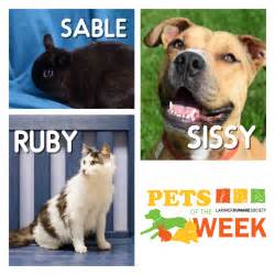 We understand the challenges that can occur when renting with pets. Larimer Humane Society: PETS OF THE WEEK | Berthoud Weekly ...