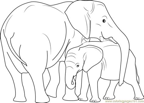 Browse & discover thousands of home & garden book titles, for less. Indian Elephant with Calf Coloring Page - Free Elephant ...