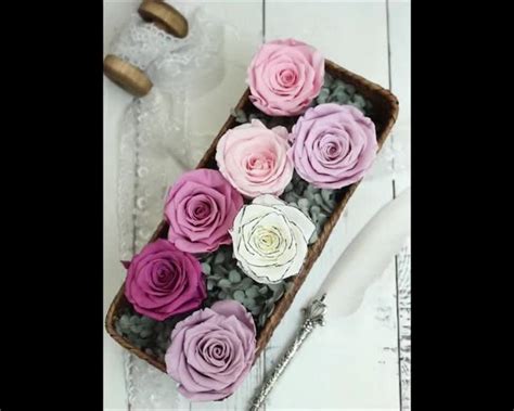 Wholesale available to florists and styling businesses with an abn. Wholesale Preserved Dried Roses Cheap Preserved Roses Real ...