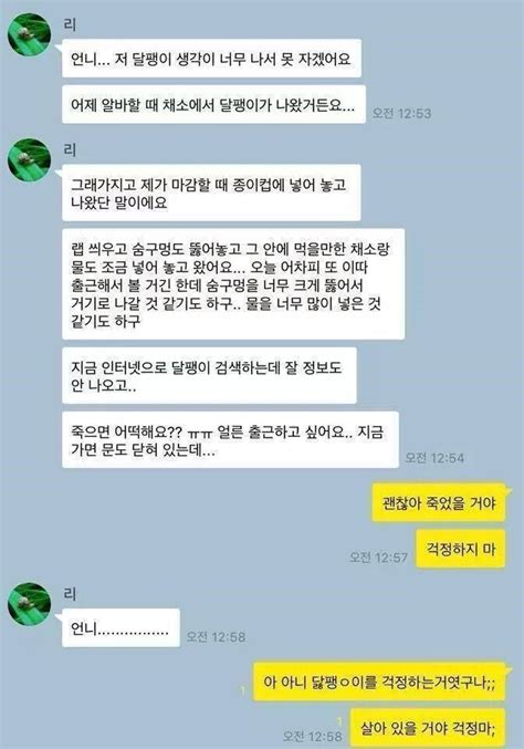 카카오톡 카톡 아이디 만들기, 확인하는 방법! 카톡 대참사 모음.jpg : 클리앙
