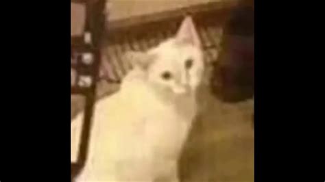 Play the sound rocket launcher the latest meme sounds, for free in this soundboard. this certainly isnt a bazooka cat meme - YouTube