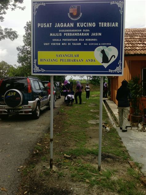 Kepada yang ada banyak kucing untuk serahkan pada kami untuk kami carikan tuan baru nantikan jadual sepanjang tahun 2021 mega pickup semenanjung malaysia 2021. life ain't easy: Pusat Jagaan Kucing Terbiar, Jasin.. siri ...