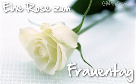 Bilder und videos von pixabay.com. 8. Maerz Frauentag | Antworten 1 bis 10