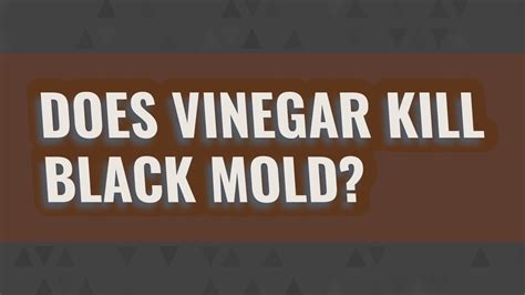 I was simply working on an area the size of a large mirror. Does vinegar kill black mold? - YouTube