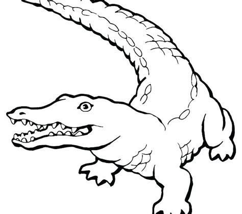 The crocodile coloring pages also available in pdf file that you can download for free. Nile Crocodile Coloring Page at GetDrawings | Free download