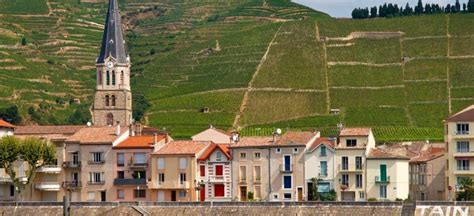 On y voit les grands axes routiers (routes et autoroutes). Tain-l'Hermitage (Côtes du Rhône septentrionales)