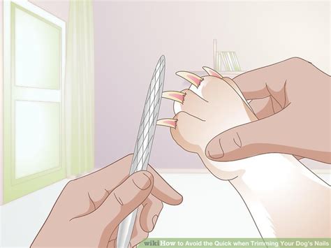 Always associate nail cutting with cookies and praise. 3 Ways to Avoid the Quick when Trimming Your Dog's Nails