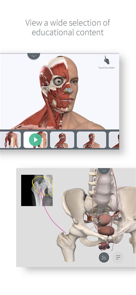 Isolate structures through the multiple. Complete Anatomy for iPhone #Education#Medical#apps#ios ...