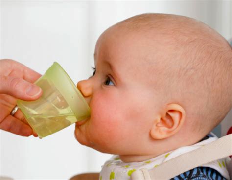 Meski anjuran minum air putih yang direkomendasikan adalah delapan gelas sehari namun sebenarnya bagi beberapa orang hal ini bisa sebagai kesimpulan, bayi asi eksklusif tidak perlu diberikan air putih. 'Boleh Sawan'- Doktor Jelas Kesan Beri Air Masak Untuk ...