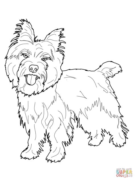 Color in this picture of an scottish terrier and others with our library of online coloring pages. Cairn Terrier coloring page | Free Printable Coloring Pages