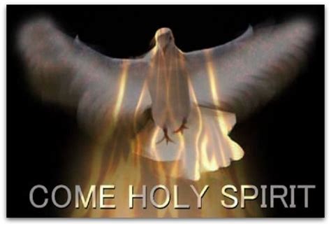 Free nickfinder app 💎 tricks hints guides reviews promo codes easter eggs and more for android application. Holy Spirit Fire | Holy spirit, Spirit, Spirituality
