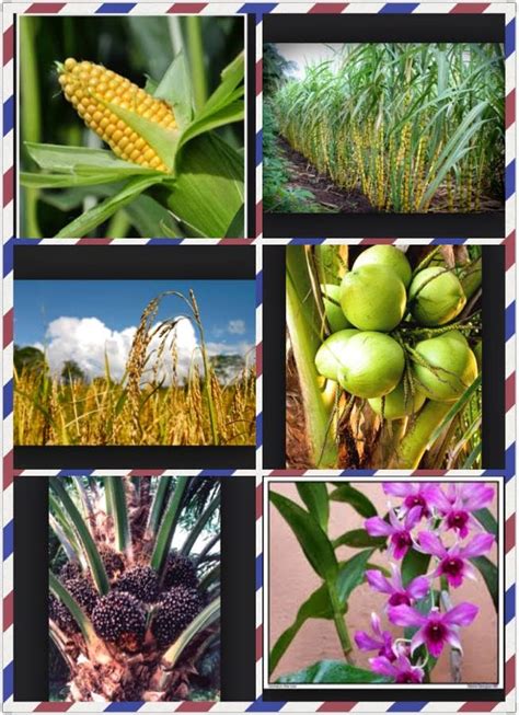 Check spelling or type a new query. sains_note☆_★ BAB 3 BIOdiVERsiTI