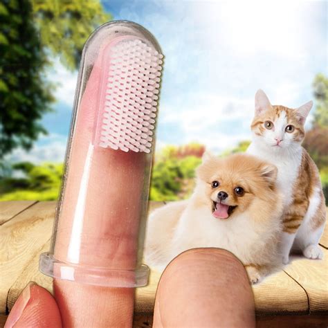 Brenda mulherin from the lloyd veterinary medical center at iowa state university, is here to talk to you. Super Soft Pet Finger Toothbrush Teddy Dog and cat Brush ...