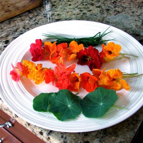 Both flowers are edible and are often used to dress a meal or to garnish the cooked fruit. Recipe: Nasturtium Butter | Herb recipes, Nasturtium ...