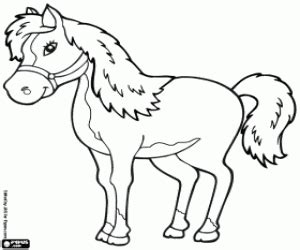 A guaranteed fun of long hours for your kid. Competition horse coloring page printable game