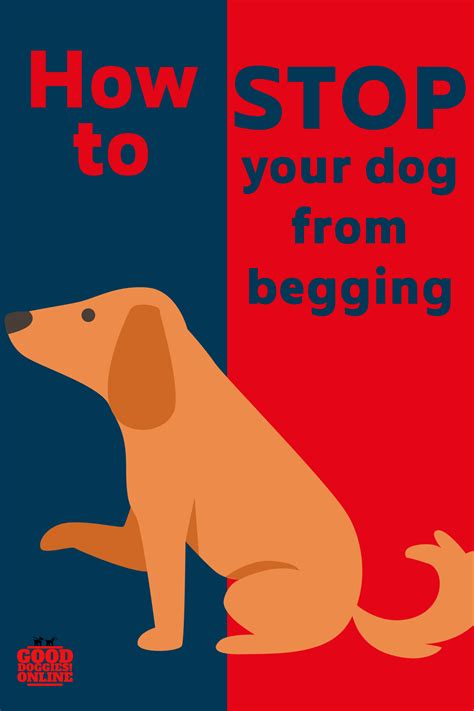 The best way to get your dog to stop begging is to prevent them from being near you while you eat. How to stop your dog from begging for food at the table ...