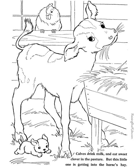 Anyone can pick here several detailed animal complex animal coloring pages to print for an adult. Hard Animal Coloring Pages - Coloring Home