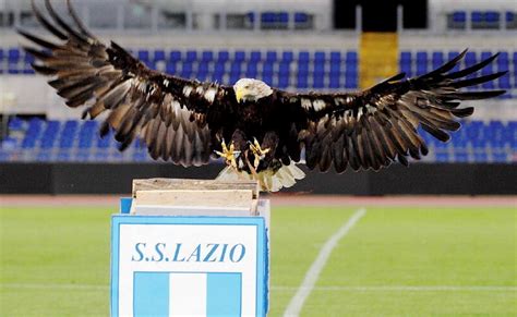 The meaning of eagle tattoo varies from various cultures and philosophies. IL DISAGIO DELLA LIBERTA', LAZIO,OLIMPIA, UN'AQUILA NEL ...