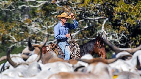 With booger brown, cody harris, bubba thompson. The Cowboy Way | Glassman Media