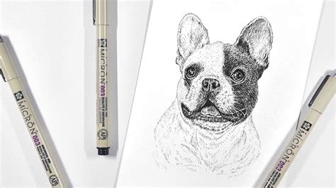 Black ink drawing / dessin à l'encre de chine. French Bulldog Pet Portrait | Pen & Ink Drawing Process ...