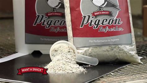 Find deals on products in bird supplies on amazon. Want A Snack Racing Pigeon Supplements - YouTube