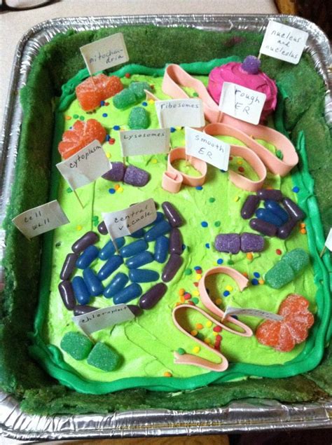 Animal cell project play doh. 20+ Plant Cell Model Ideas Your Students Find Them ...