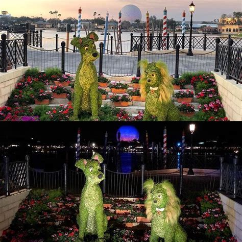 Maybe you would like to learn more about one of these? The Lady and the Tramp topiaries have a new spot this year ...