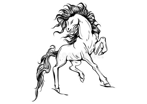 Come schizzare un cavallo dopo averti spiegato come schizzare una composizione composta da oggetti , e come stilizzare l'insieme di un disegno , vo… Disegno Stilizzato Di Un Cavallo Selvaggio Illustrazioni ...