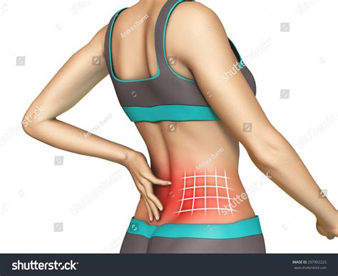 We did not find results for: Are There Any Organs In The Lower Back Of Women? - Women ...